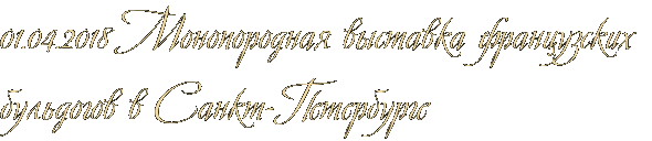 01.04.2018 Монопородная выставка французских бульдогов в Санкт-Петербурге 01.04.2018 Монопородная выставка французских бульдогов в Санкт-Петербурге