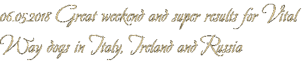 06.05.2018 Great weekend and super results for Vital Way dogs in Italy, Ireland and Russia 06.05.2018 Great weekend and super results for Vital Way dogs in Italy, Ireland and Russia