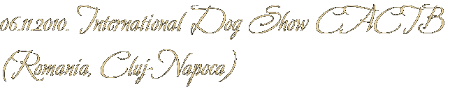 06.11.2010. International Dog Show CACIB (Romania, Cluj-Napoca) 06.11.2010. International Dog Show CACIB (Romania, Cluj-Napoca)