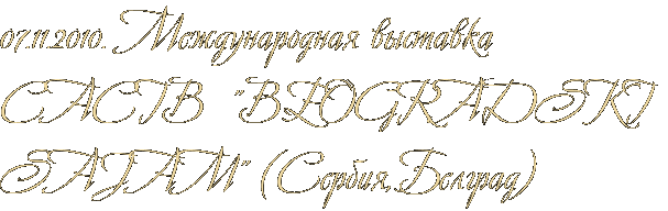 07.11.2010. Международная выставка CACIB "BEOGRADSKI SAJAM" (Сербия,Белград) 07.11.2010. Международная выставка CACIB "BEOGRADSKI SAJAM" (Сербия,Белград)