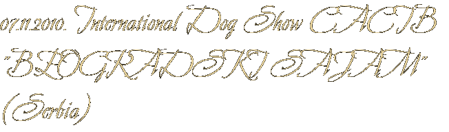 07.11.2010. International Dog Show CACIB "BEOGRADSKI SAJAM" (Serbia) 07.11.2010. International Dog Show CACIB "BEOGRADSKI SAJAM" (Serbia)