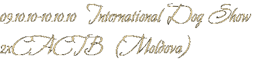 09.10.10-10.10.10 International Dog Show 2xCACIB (Moldova) 09.10.10-10.10.10 International Dog Show 2xCACIB (Moldova)