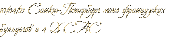 10/04/21 Санкт-Петербург моно французских бульдогов и 4 Х САС 10/04/21 Санкт-Петербург моно французских бульдогов и 4 Х САС