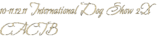 10-11.12.11 International Dog Show 2Х CACIB 10-11.12.11 International Dog Show 2Х CACIB