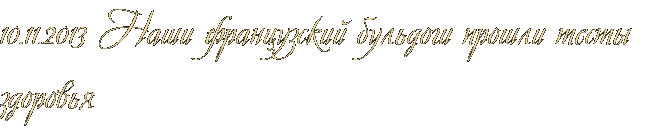 10.11.2013 Наши французский бульдоги прошли тесты здоровья 10.11.2013 Наши французский бульдоги прошли тесты здоровья