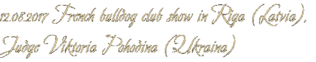 12.08.2017 French bulldog club show in Riga (Latvia), Judge Viktoria Pohodina (Ukraina)