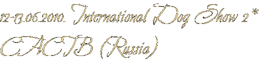 12-13.06.2010. International Dog Show 2* CACIB (Russia) 12-13.06.2010. International Dog Show 2* CACIB (Russia)