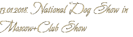 13.01.2018. National Dog Show in Moscow+Club Show 13.01.2018. National Dog Show in Moscow+Club Show