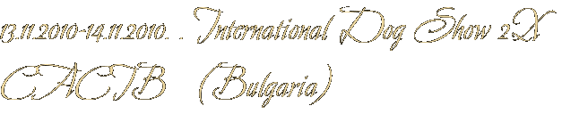 13.11.2010-14.11.2010. . International Dog Show 2Х CACIB (Bulgaria) 13.11.2010-14.11.2010. . International Dog Show 2Х CACIB (Bulgaria)