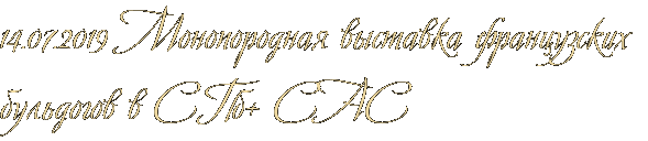 14.07.2019 Монопородная выставка французских бульдогов в СПб+ САС 14.07.2019 Монопородная выставка французских бульдогов в СПб+ САС