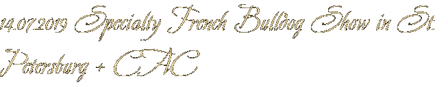 14.07.2019 Specialty French Bulldog Show in St. Petersburg + CAC 14.07.2019 Specialty French Bulldog Show in St. Petersburg + CAC