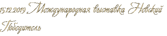 15.12.2019 Международная выставка Невский Победитель 15.12.2019 Международная выставка Невский Победитель