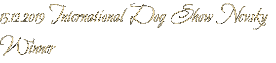 15.12.2019 International Dog Show Nevsky Winner 15.12.2019 International Dog Show Nevsky Winner