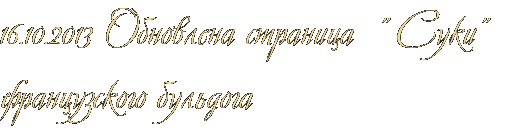 16.10.2013 Обновлена страница  &amp;quot; Суки&amp;quot;  французского бульдога