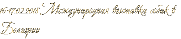 16-17.02.2018 Международная выставка собак в Болгарии 16-17.02.2018 Международная выставка собак в Болгарии