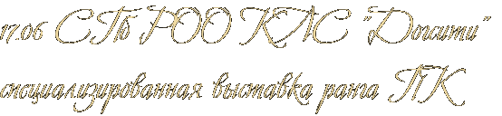 17.06 СПб РОО КЛС "Догсити" специализированная выставка ранга ПК 17.06 СПб РОО КЛС "Догсити" специализированная выставка ранга ПК