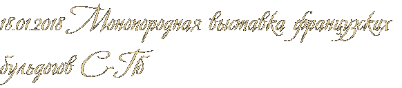 18.01.2018 Монопородная выставка французских бульдогов С-Пб 18.01.2018 Монопородная выставка французских бульдогов С-Пб