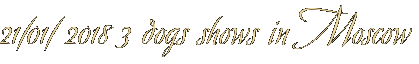 21/01/ 2018 3 dogs shows in Moscow 21/01/ 2018 3 dogs shows in Moscow