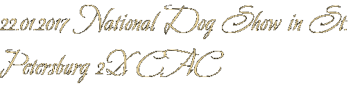 22.01.2017 National Dog Show in St. Petersburg 2X CAC 22.01.2017 National Dog Show in St. Petersburg 2X CAC