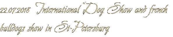 22.07.2018 International Dog Show and french bulldogs show in St-Petersburg 22.07.2018 International Dog Show and french bulldogs show in St-Petersburg