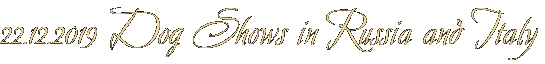 22.12.2019 Dog Shows in Russia and Italy 22.12.2019 Dog Shows in Russia and Italy