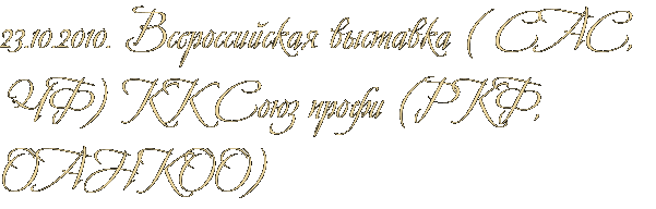 23.10.2010. Всероссийская выставка ( САС, ЧФ) КК Союз профи (РКФ, ОАНКОО) 23.10.2010. Всероссийская выставка ( САС, ЧФ) КК Союз профи (РКФ, ОАНКОО)
