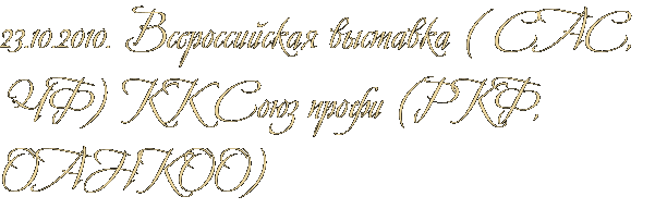 23.10.2010. Всероссийская выставка ( САС, ЧФ) КК Союз профи (РКФ, ОАНКОО)