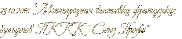 23.10.2010. Монопородная выставка французских бульдогов ПК КК " Союз Профи" 23.10.2010. Монопородная выставка французских бульдогов ПК КК " Союз Профи"