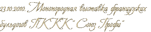 23.10.2010. Монопородная выставка французских бульдогов ПК КК &amp;quot; Союз Профи&amp;quot;