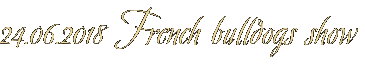 24.06.2018 French bulldogs show 24.06.2018 French bulldogs show