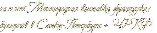 24.12.2016 Монопородная выставка французских бульдогов в Санкт-Петербурге + ЧРКФ 24.12.2016 Монопородная выставка французских бульдогов в Санкт-Петербурге + ЧРКФ