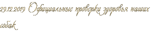 29.12.2019 Официальные проверки здоровья наших собак 29.12.2019 Официальные проверки здоровья наших собак