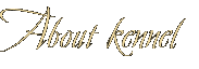 About kennel About kennel