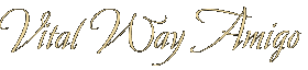 Vital Way Amigo Vital Way Amigo