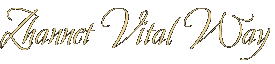 Zhannet Vital Way Zhannet Vital Way